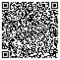 QR code with McGas contacts