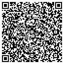 QR code with Prism Dynamics contacts