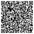 QR code with Curves contacts