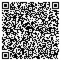 QR code with Cocess contacts