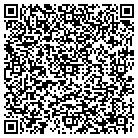 QR code with Cgi Silvercote Inc contacts