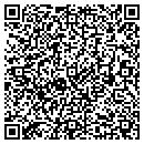 QR code with Pro Motors contacts