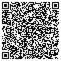 QR code with L Weis contacts