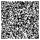 QR code with Project Safe contacts