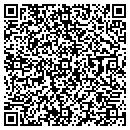 QR code with Project Safe contacts