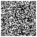 QR code with Pro Tune Up contacts