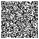 QR code with Pulse River contacts