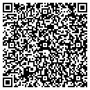 QR code with Executone of Pierre contacts