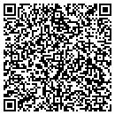 QR code with Premier Moter Cars contacts