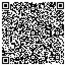 QR code with Babinski Properties contacts