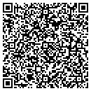 QR code with Primitive Work contacts