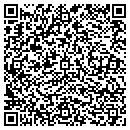 QR code with Bison Public Library contacts