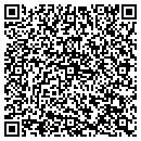 QR code with Custer County Library contacts