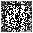 QR code with Bison Courier contacts