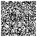 QR code with Babinski Properties contacts