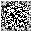 QR code with Pull U In Software contacts