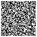 QR code with Blue Skies Pool & Spa contacts