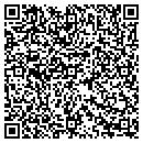 QR code with Babinski Properties contacts