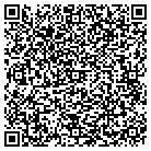 QR code with Pulizzi Engineering contacts