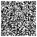 QR code with Premier Auto Detail contacts
