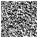 QR code with Public Storage contacts