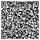 QR code with Pristine Springs contacts