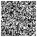 QR code with Pro Touch Services contacts