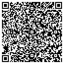 QR code with Pyramid Industries contacts