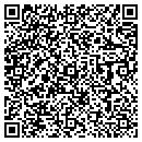 QR code with Public Works contacts