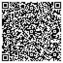 QR code with Pruitt's Auto Service contacts