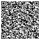 QR code with Puzzle Vehicle contacts