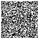 QR code with Putnam Services Inc contacts