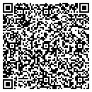 QR code with Cumberland Analaytic contacts