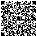 QR code with Precise Automation contacts