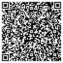 QR code with Public Works Garage contacts