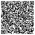 QR code with Paccar contacts