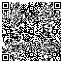 QR code with Pro Files contacts
