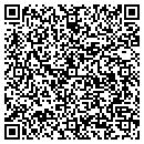 QR code with Pulaski Rubber Co contacts
