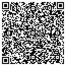 QR code with Public Storage contacts