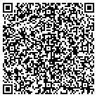 QR code with Bluemax Solutions LLC contacts