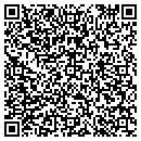 QR code with Pro Show Inc contacts