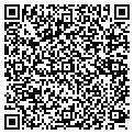 QR code with M Salon contacts