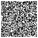 QR code with Public Works Director contacts