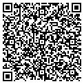 QR code with Pier 1 contacts