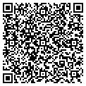 QR code with Mirror contacts