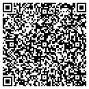 QR code with Carpet Concepts LLC contacts