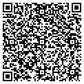 QR code with Shell contacts