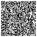 QR code with Punisher Lures contacts