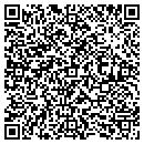 QR code with Pulaski Pawn & Sales contacts