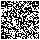 QR code with Blue Ridge Technology contacts